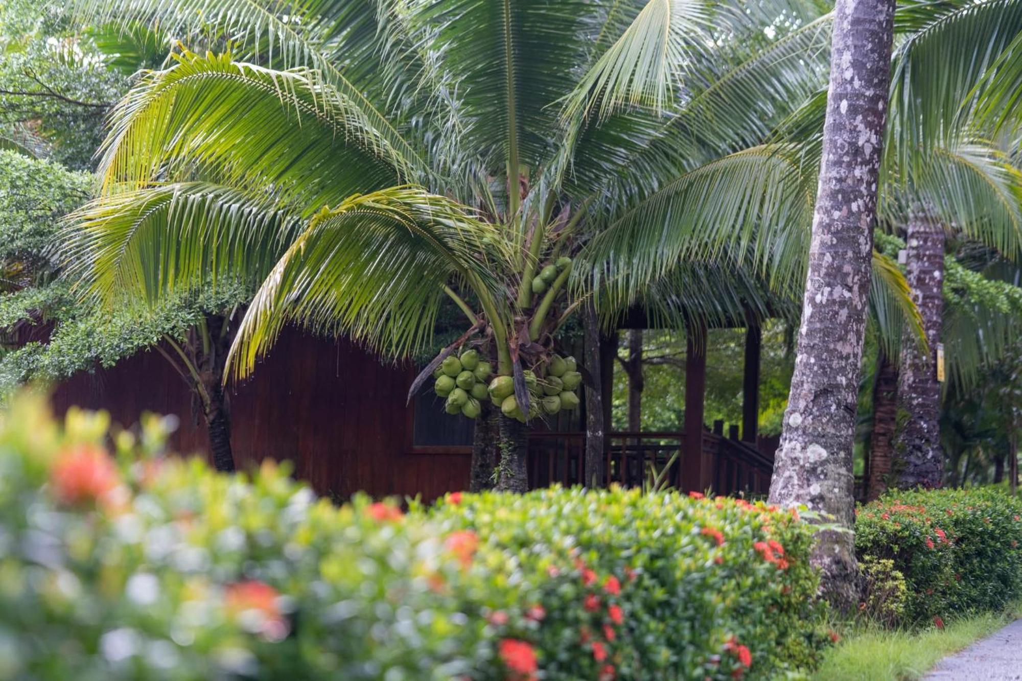 Mafiya Resort Thansour beach Luaran gambar